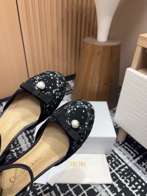 Dior Shoe 